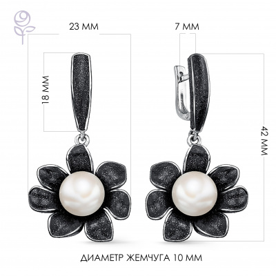 Серьги серебро 52802S1B