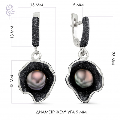 Серьги серебро 52270S2B