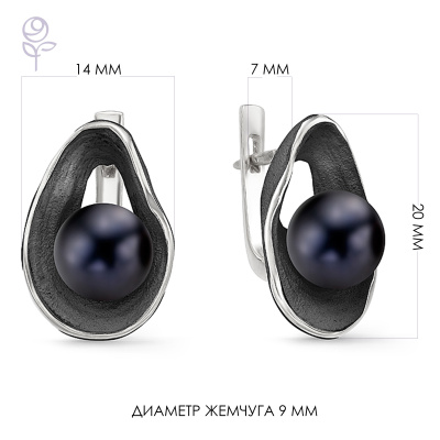 Серьги серебро 52250S2B