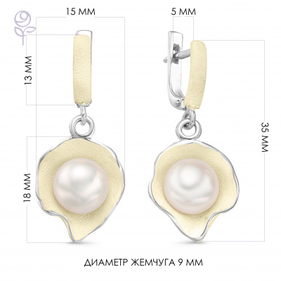 Серьги серебро 52270S1H