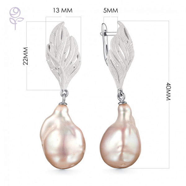 Серьги серебро 52889S6W