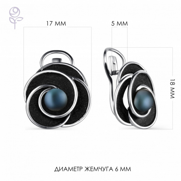 Серьги серебро 52857S2B