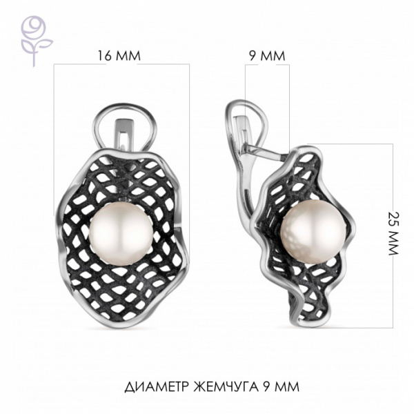 Серьги серебро 52848S1B