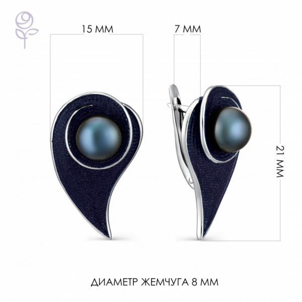 Серьги серебро 52827S2U