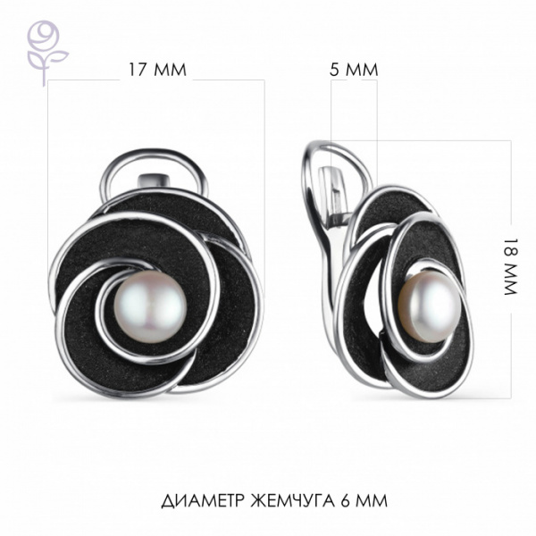 Серьги серебро 52857S1B