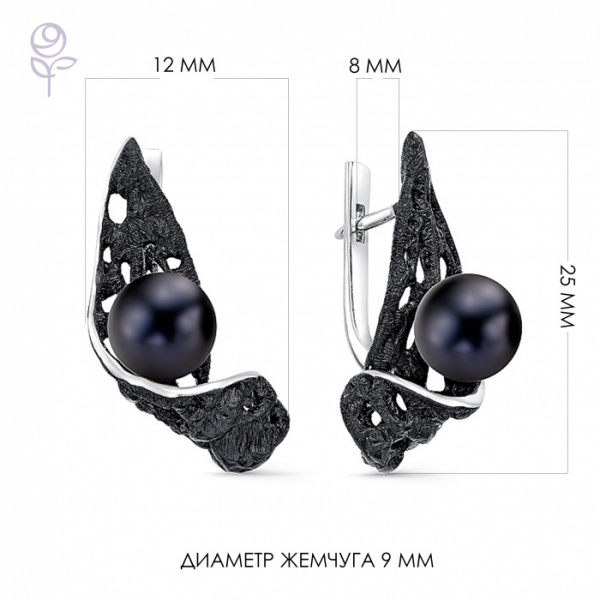 Серьги серебро 52263S2B