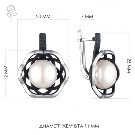 Серьги серебро 52851S1B