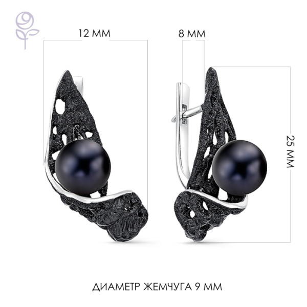 Серьги серебро 52263S2B