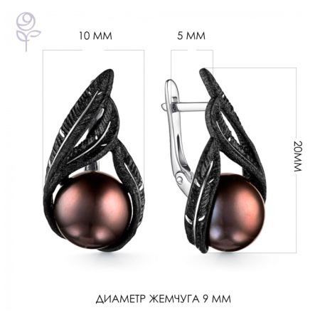 Серьги серебро 52887S2B