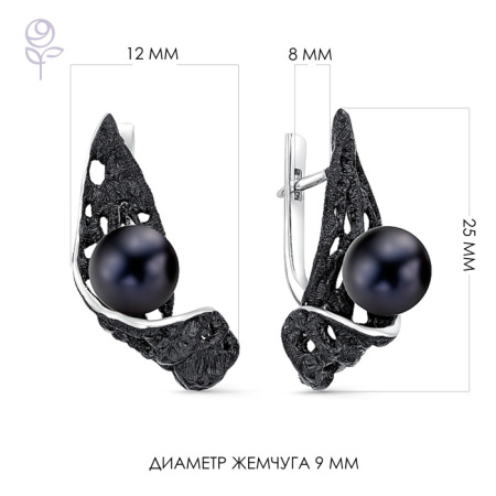 Серьги серебро 52263S2B