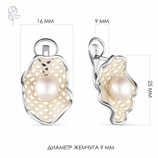 Серьги серебро 52848S1H