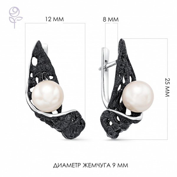 Серьги серебро 52263S1B