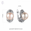 Серьги серебро 52884S1