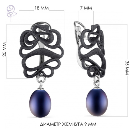 Серьги серебро 52853S2B