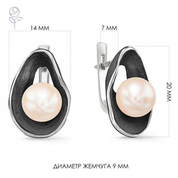 Серьги серебро 52250S1B