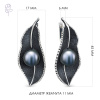 Серьги серебро 52800S2B