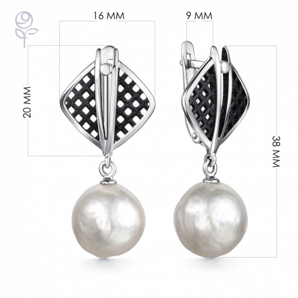 Серьги серебро 52864S6B