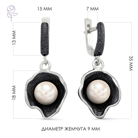 Серьги серебро 52270S1B