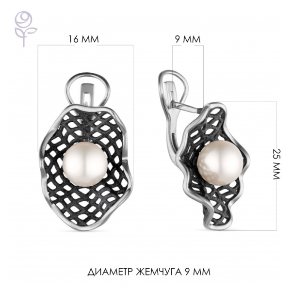 Серьги серебро 52848S1B
