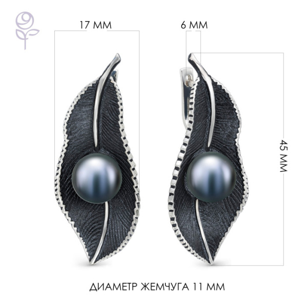 Серьги серебро 52800S2B