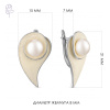 Серьги серебро 52827S1H