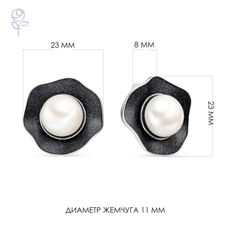 Серьги серебро 52804S1B