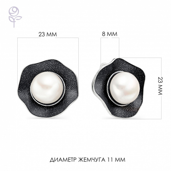 Серьги серебро 52804S1B