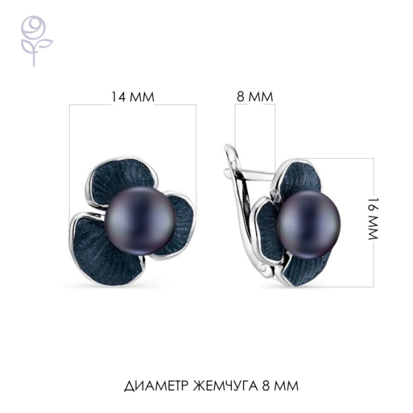 Серьги серебро 52821S2B