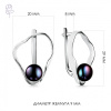 Серьги серебро 52232S2W