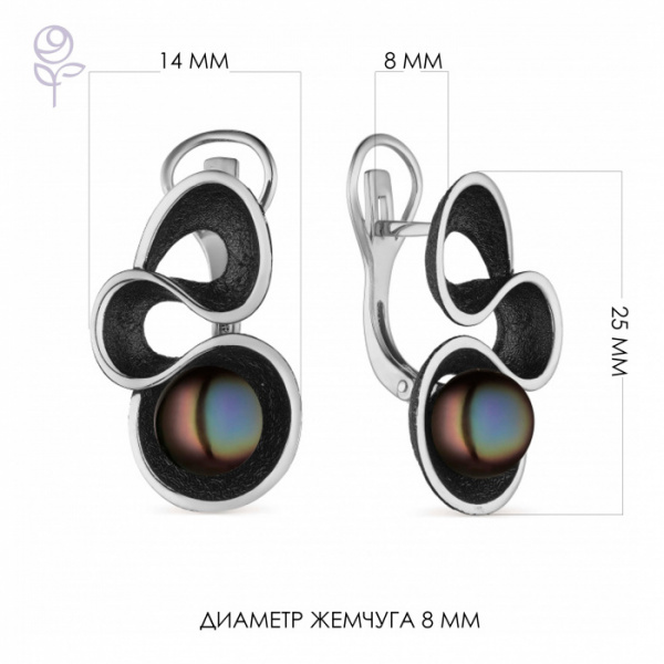 Серьги серебро 52849S2B