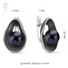 Серьги серебро 52250S2B