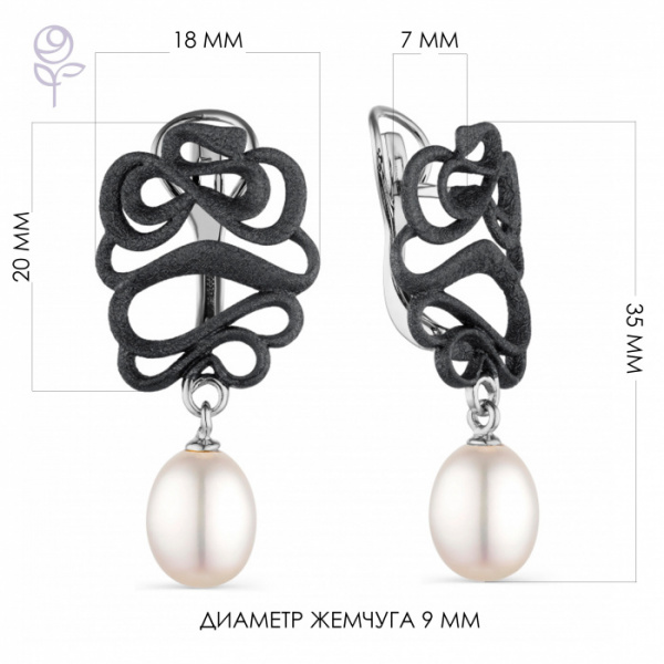 Серьги серебро 52853S1B