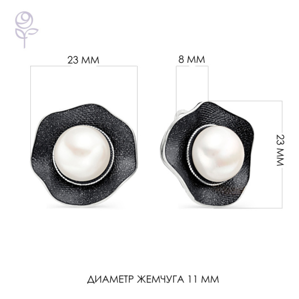 Серьги серебро 52804S1B