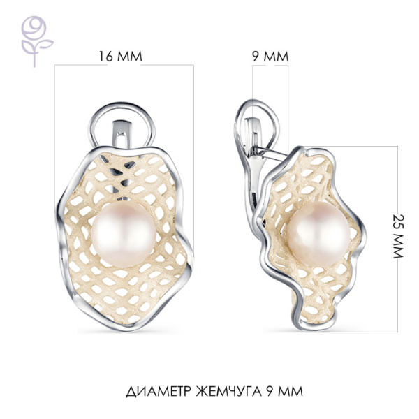 Серьги серебро 52848S1H