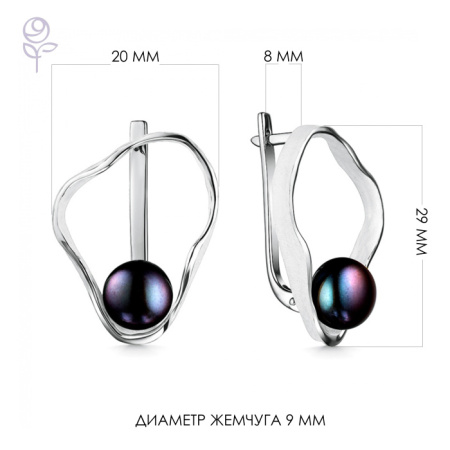 Серьги серебро 52232S2W