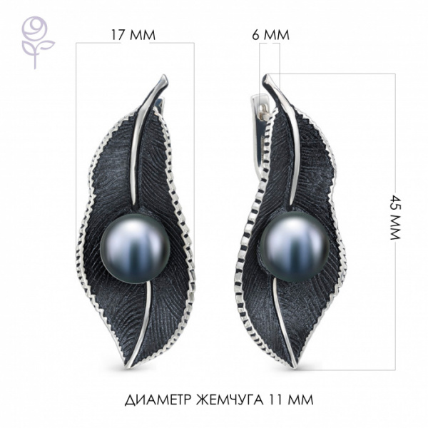 Серьги серебро 52800S2B