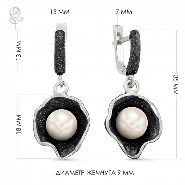 Серьги серебро 52270S1B